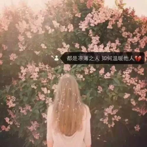 一个女人婚姻心寒绝望的句子