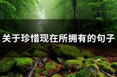 ​关于珍惜现在所拥有的句子(66句)