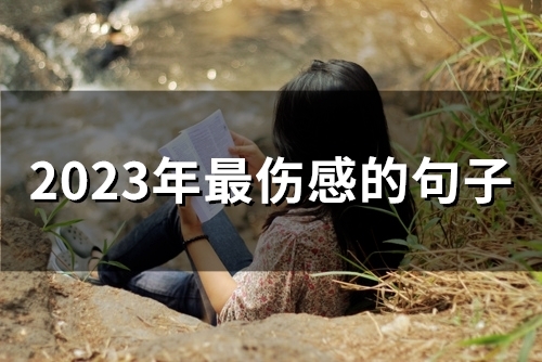 2023年最伤感的句子(精选61句)