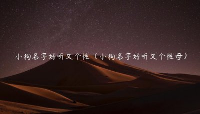 ​小狗名字好听又个性（小狗名字好听又个性母）