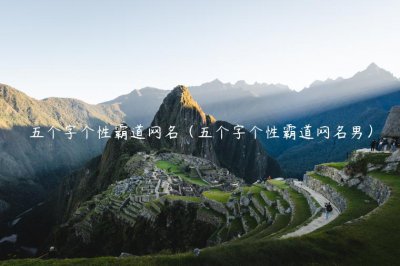 ​五个字个性霸道网名（五个字个性霸道网名男）