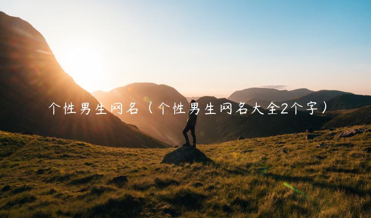 个性男生网名（个性男生网名大全2个字）