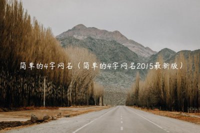 ​简单的4字网名（简单的4字网名2015最新版）