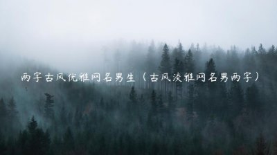 ​两字古风优雅网名男生（古风淡雅网名男两字）