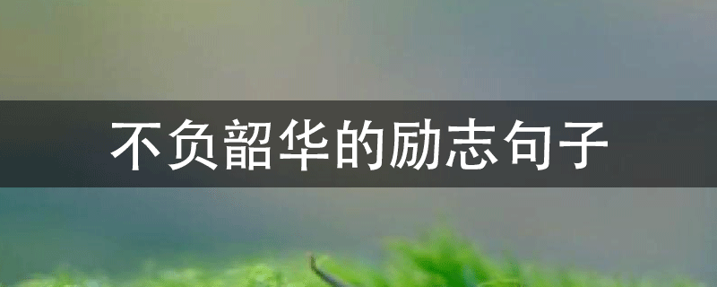 励志句子,不负韶华 . 不负韶华的励志句子