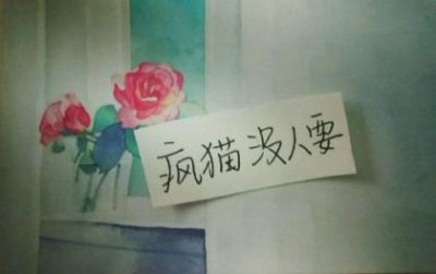 ​生日祝福语闺蜜(简短独特有创意)