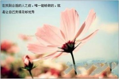 ​送给长辈中秋节祝福语 生日祝福语八个字[50句]