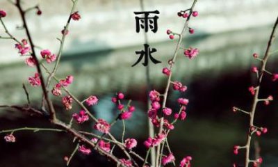 ​祝中年男士生日祝福语八字（祝中年女人祝福语）