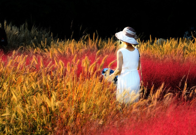 大叔丫头的爱情句子 关于和大叔恋爱的句子